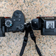 Sony A7R iii (left) and Sony A7S (right)